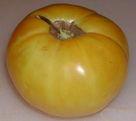 Hughs TOMATO 0.16 g Hughs TOMATO 0.16 g