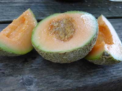 Top Mark MUSKMELON 2 g Top Mark MUSKMELON 2 g