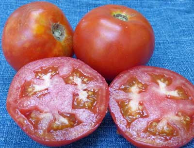 Tropic VFN TOMATO 0.16 g Tropic VFN TOMATO 0.16 g