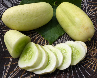 White Wonder CUCUMBER 2 g White Wonder CUCUMBER 2 g