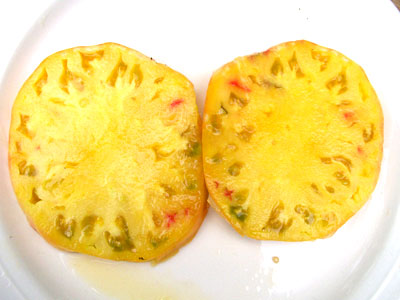 Williams Striped Tomato 0.16 g Williams Striped Tomato 0.16 g