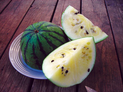 White Wonder WATERMELON 3 g White Wonder WATERMELON 3 g