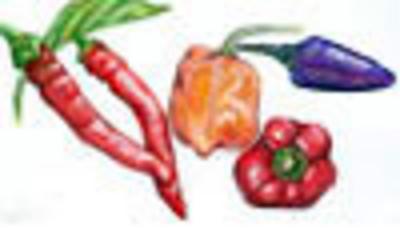 Category Image for Hot Peppers