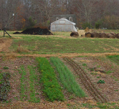 fall gardening at SESE