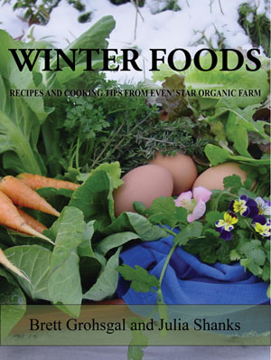 winter foods cookbook from Brett Grohsgal