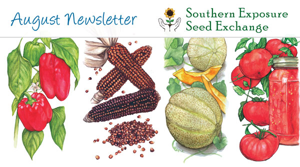 Southern Exposure Seed Exchange Newsletter