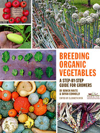 breeding organic vegetables: a step-by-step guide for growers