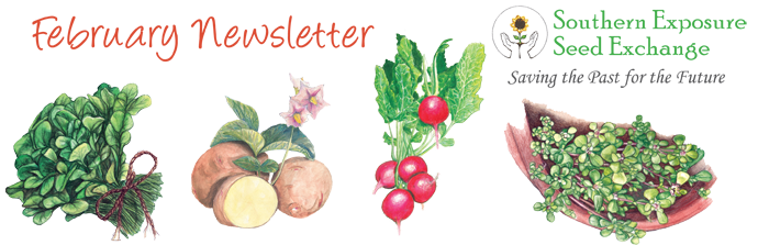 Southern Exposure Seed Exchange January Newsletter