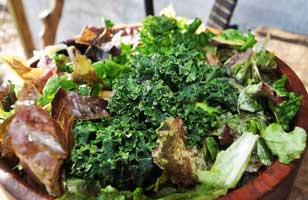 salad mix
