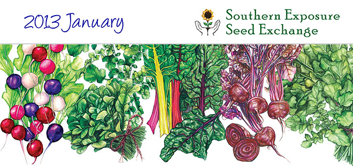 Southern Exposure Seed Exchange Newsletter