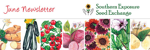 Southern Exposure Seed Exchange Newsletter