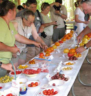 Tomatopalooza!