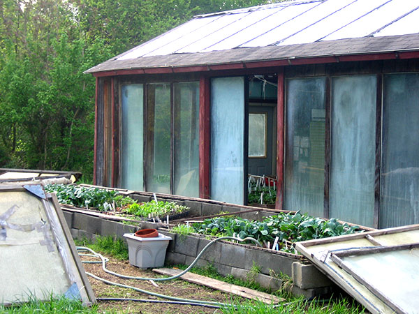 greenhouse-coldframes-from-east Entrada de blog invitado: Comenzando plántulas