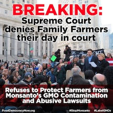 La Corte Suprema niega a los agricultores familiares el derecho a la autodefensa contra el abuso de Monsanto