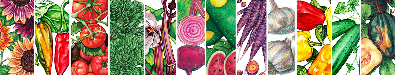 Southern Exposure Seed Exchange Banner