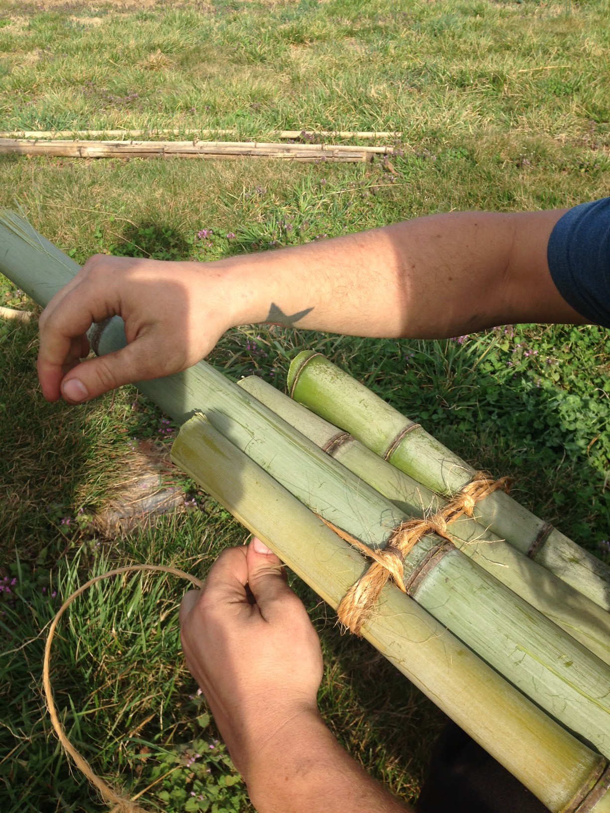 Easy Bamboo Bean Teepees | Southern Exposure Seed Exchange