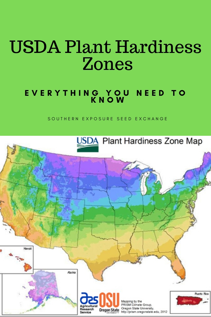 Flower Zones Map Usa United States Map