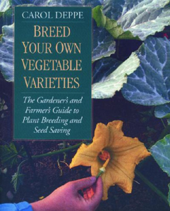 Lecturas de otoño: cinco libros sobre economía de semillas