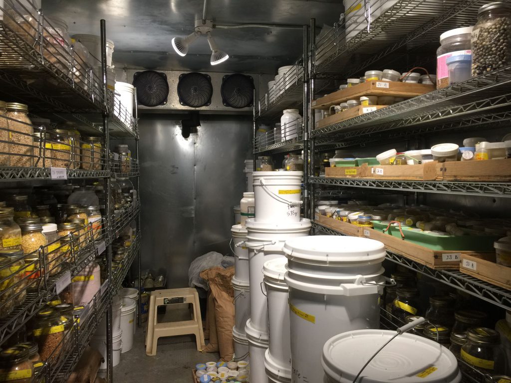 small farms Southern Exposure Seed Exchange