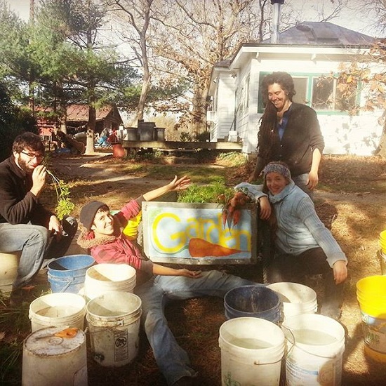 Zanahorias dulces y raíces dulces SESE 2021 Zanahorias dulces y raíces dulces SESE