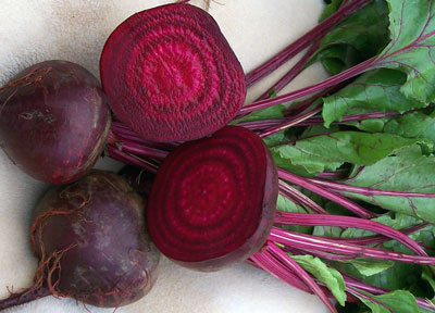 Crosby Egyptian Beets