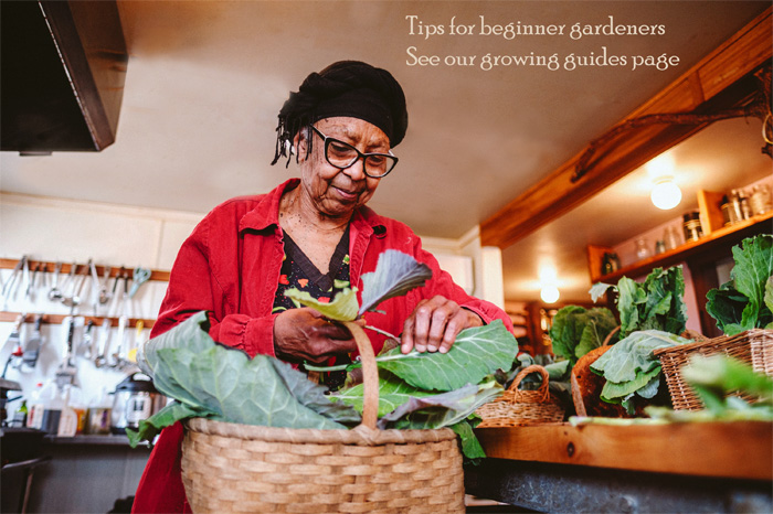 Visit our Growing Guides page