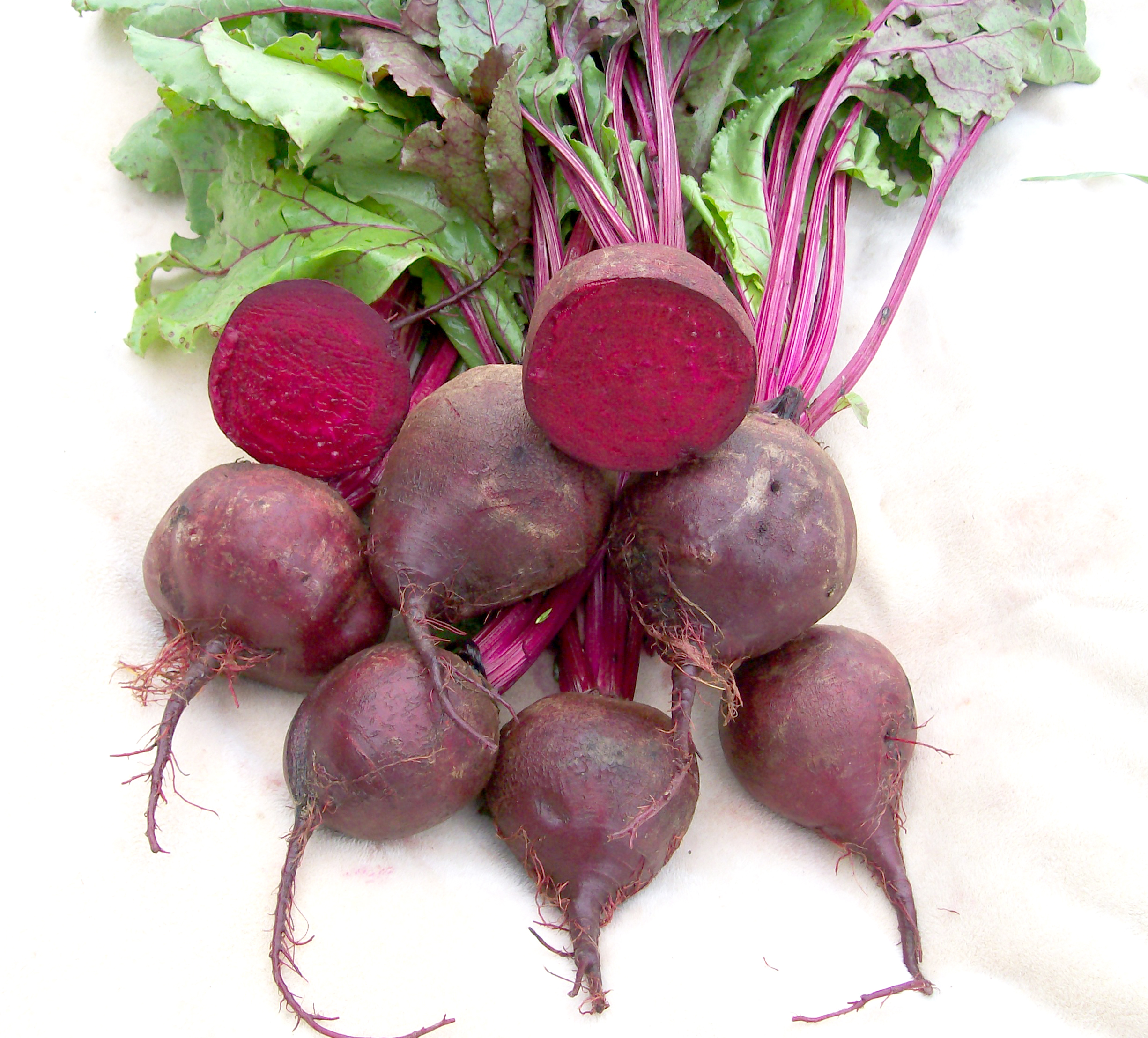 dark beetroot