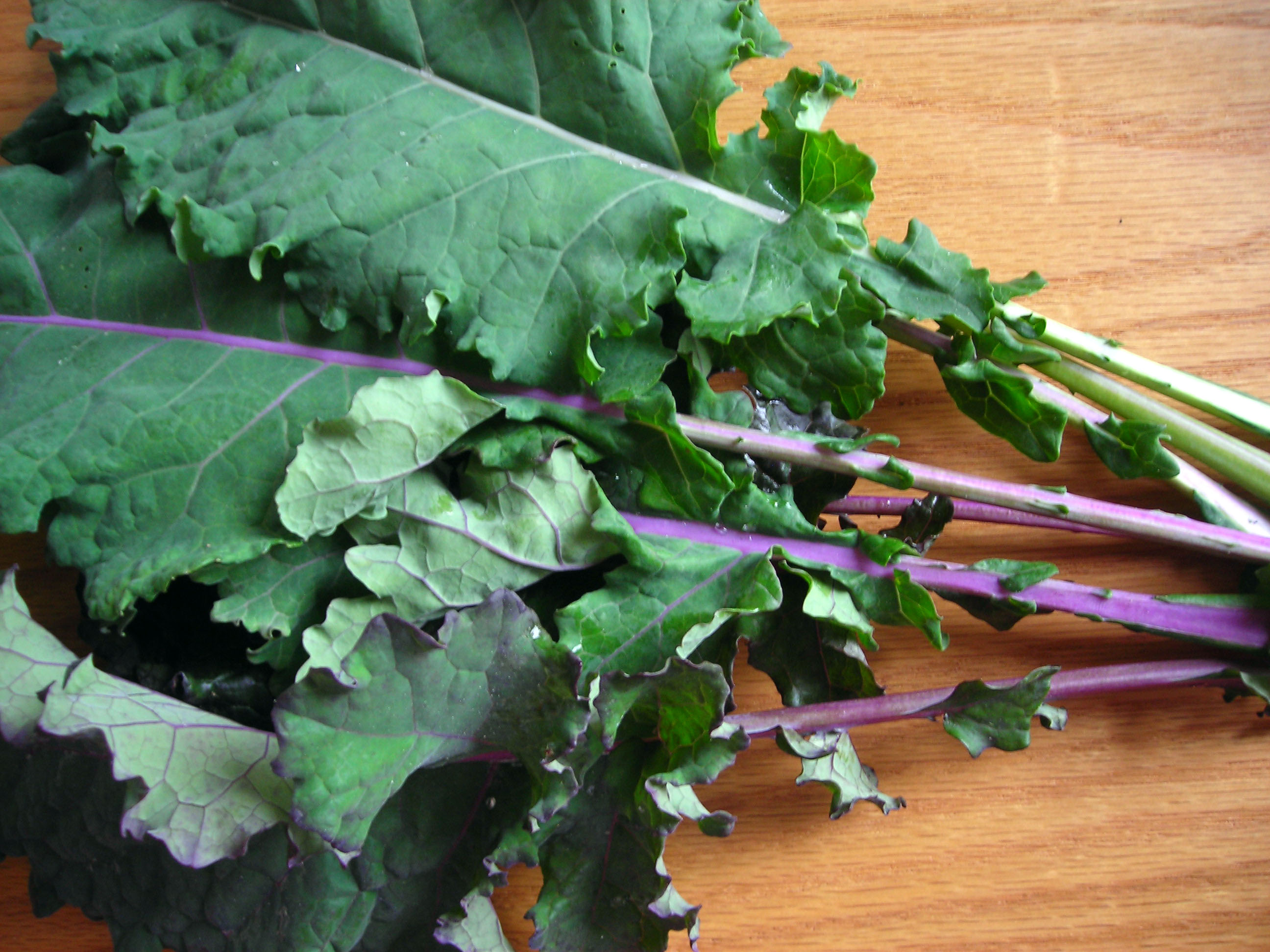kale lacinato rainbow mix seeds southernexposure bulk leaves