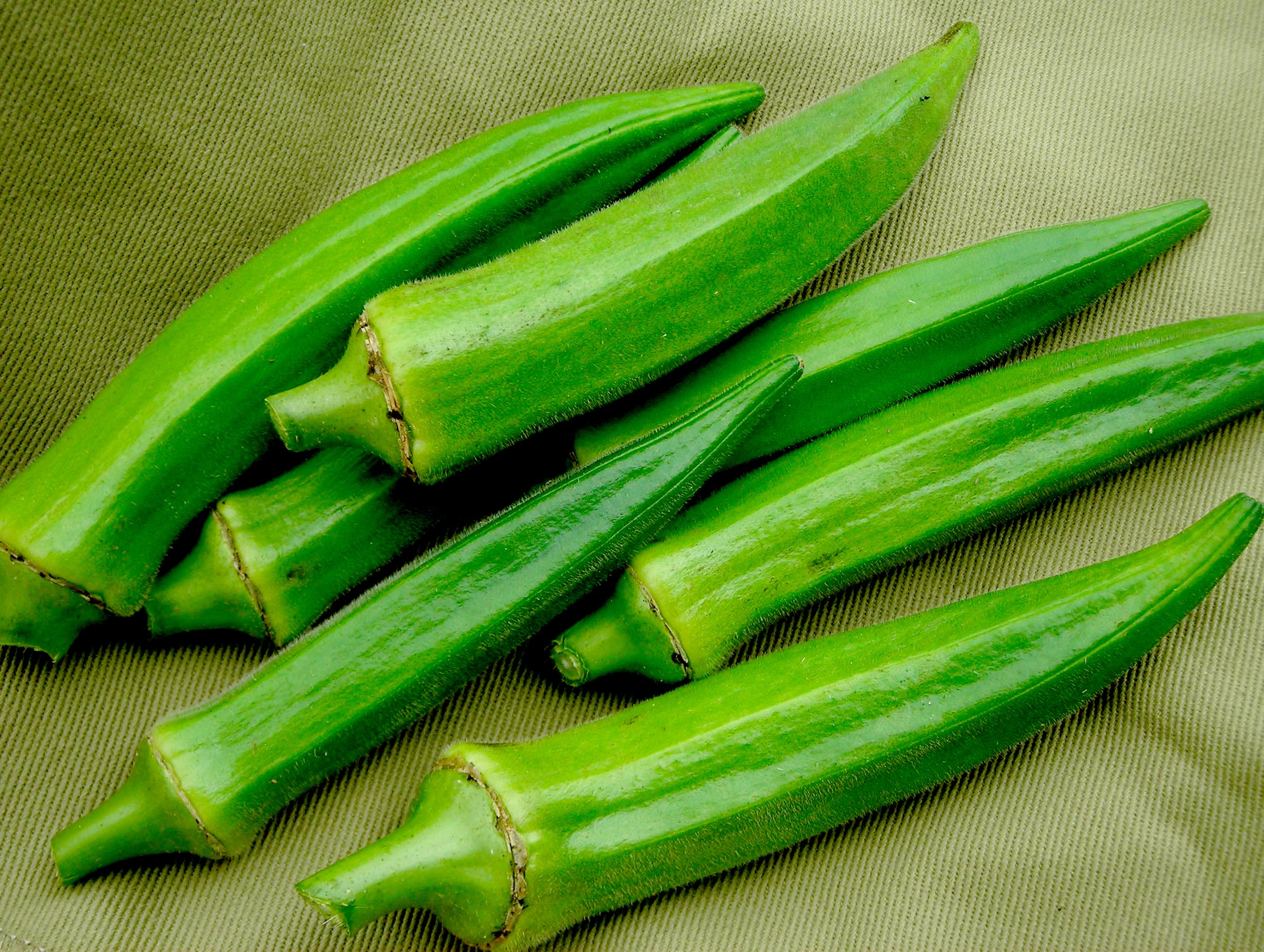 Okra – Talk English