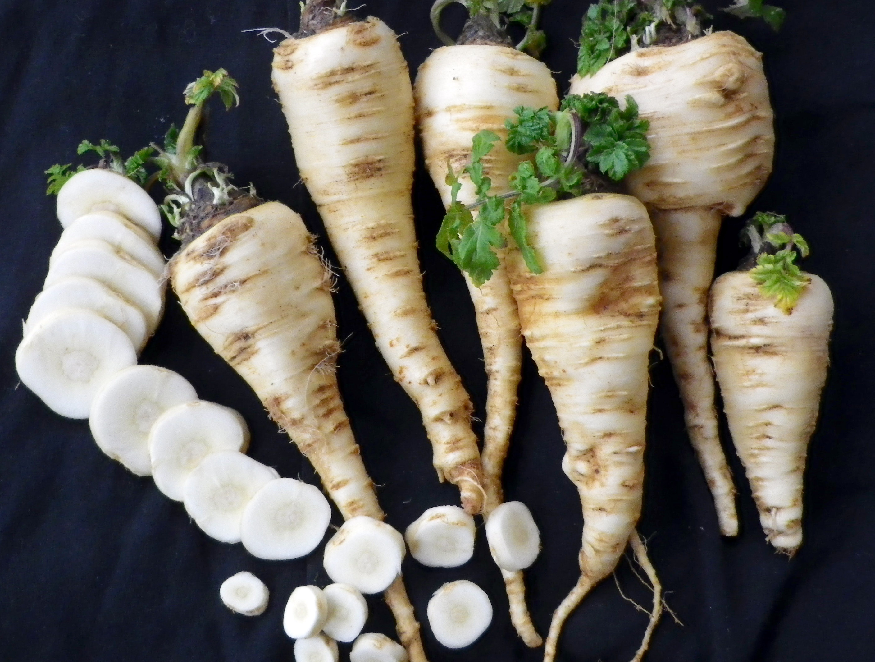 Get Parsnip Pictures