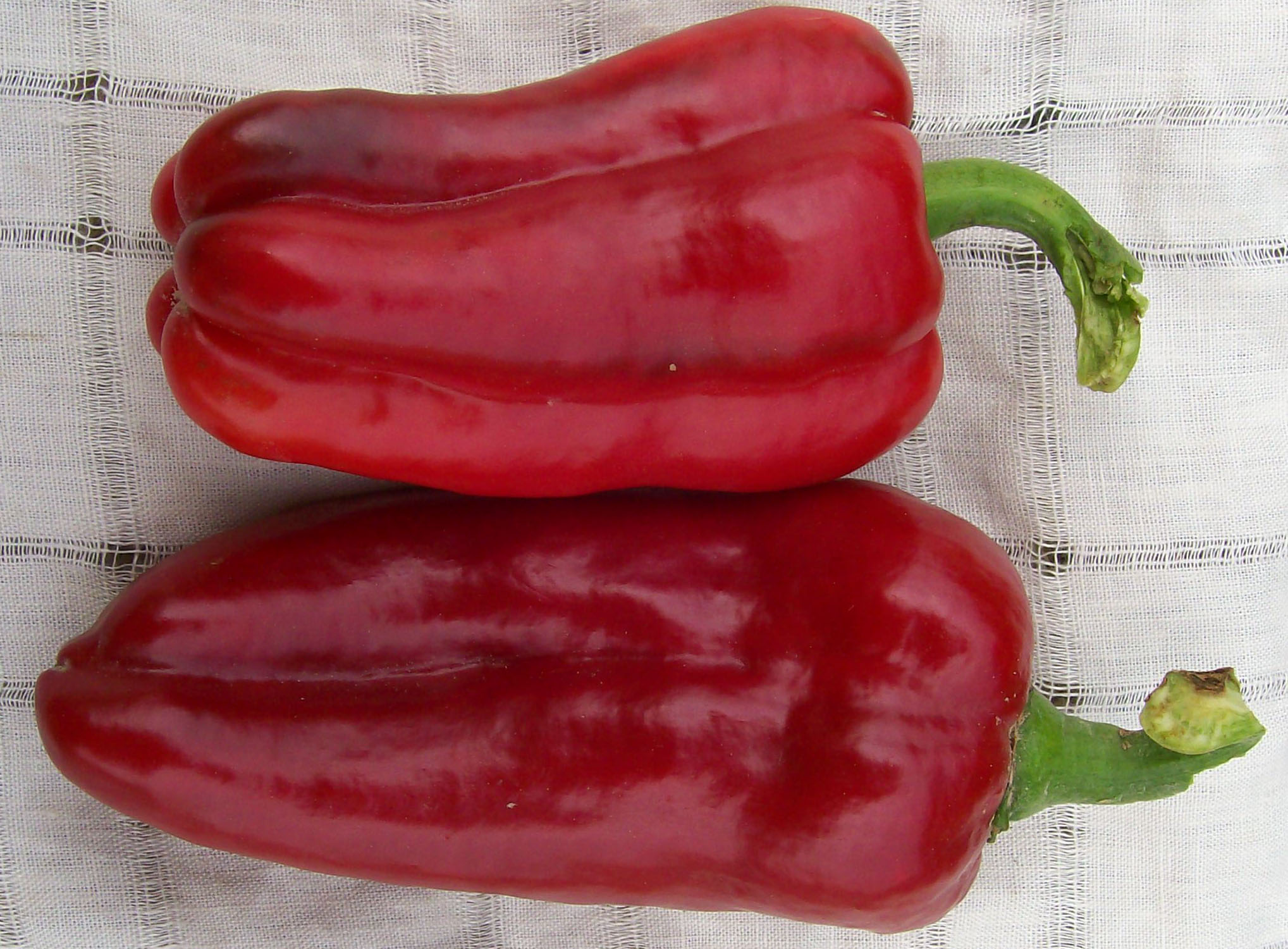 Marconi Sweet Bell Pepper, 0.3 g : Southern Exposure Seed Exchange