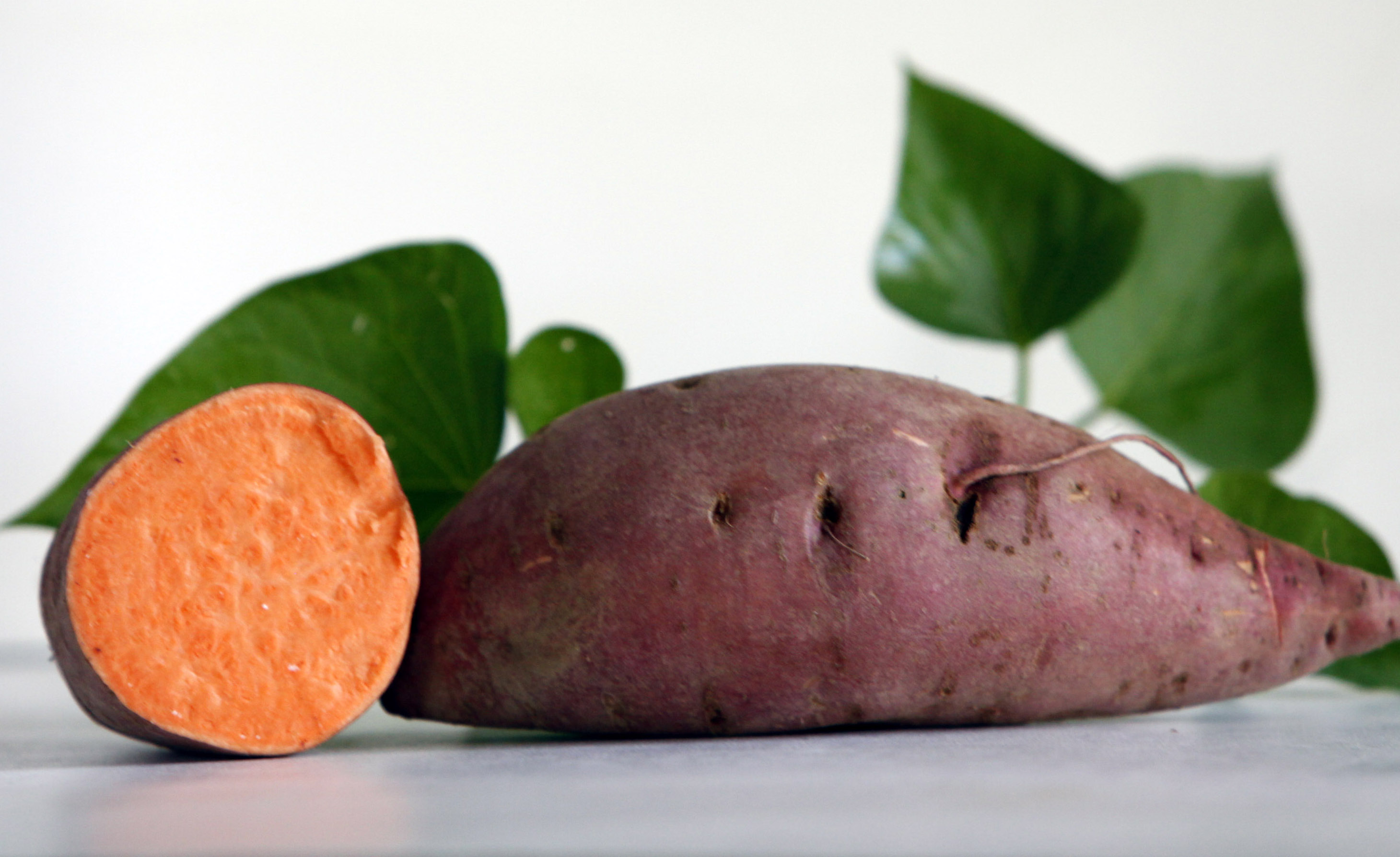 Carolina Ruby Sweet Potato 6 Slips Southern Exposure