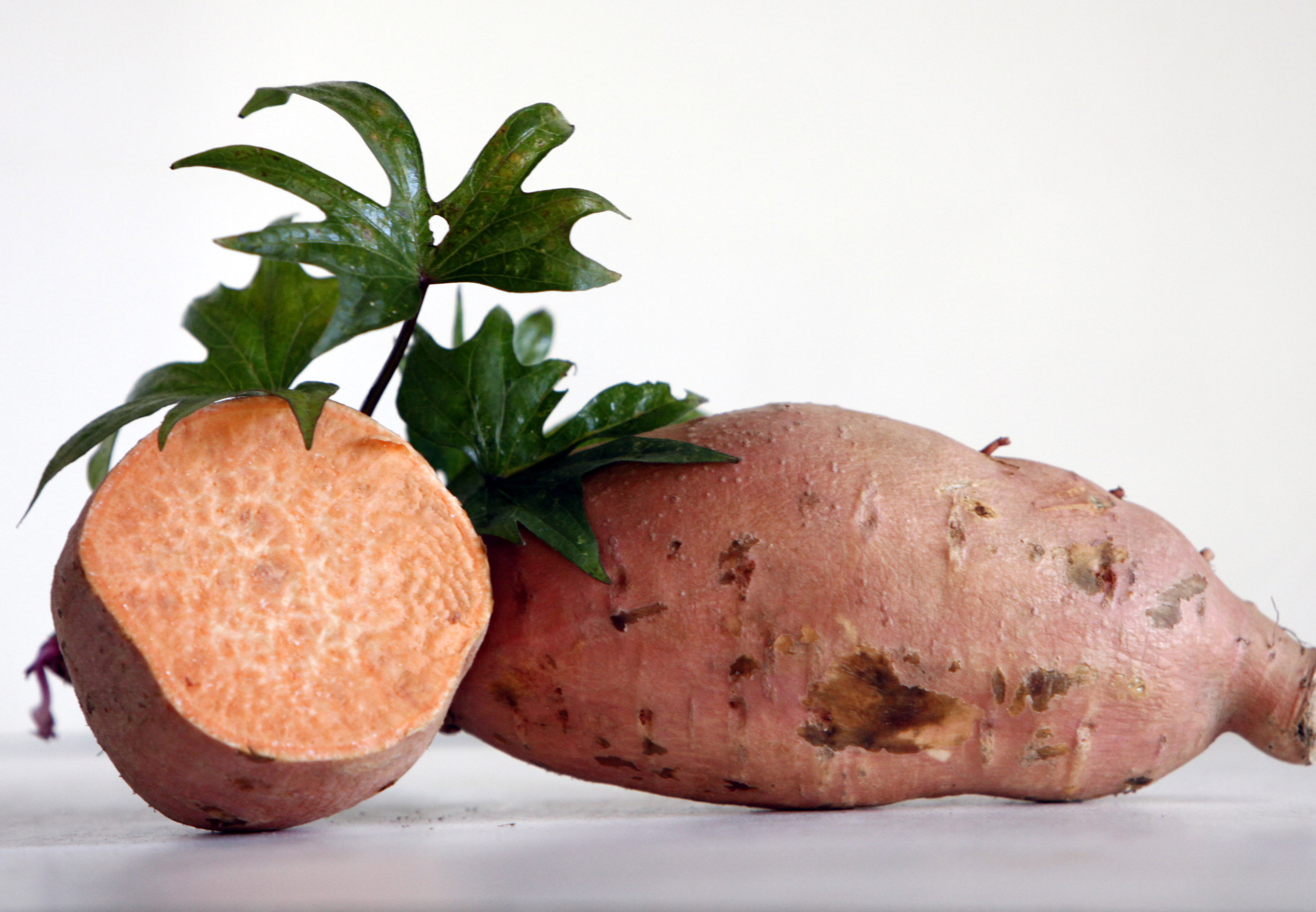 Ginseng Sweet Potato 6 Slips : Southern Exposure Seed Exchange, Saving