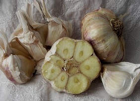 Inchelium Red Softneck Garlic, 8 oz.