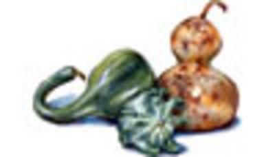 Category Image for Gourds