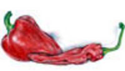 Category Image for Spice (Seasoning) Peppers