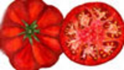 Red Tomatoes