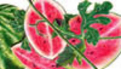 Category Image for Watermelon