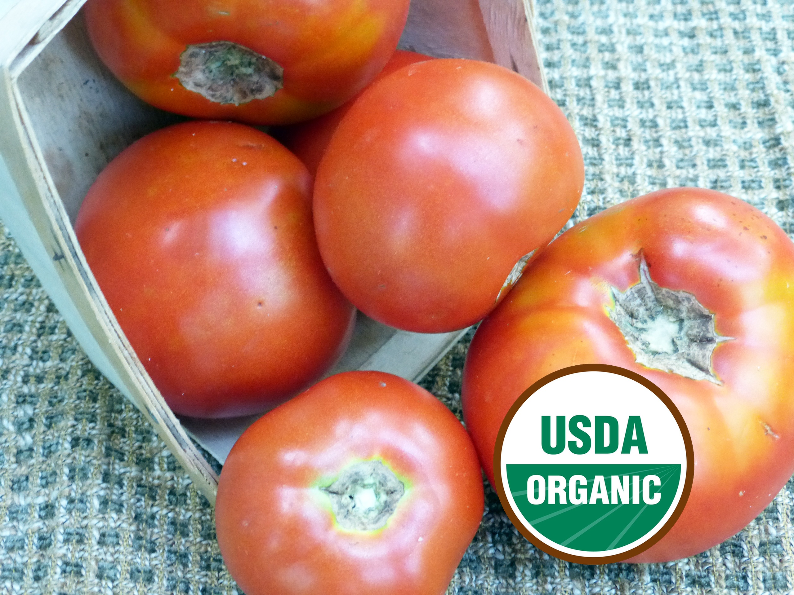 Red Tomatoes