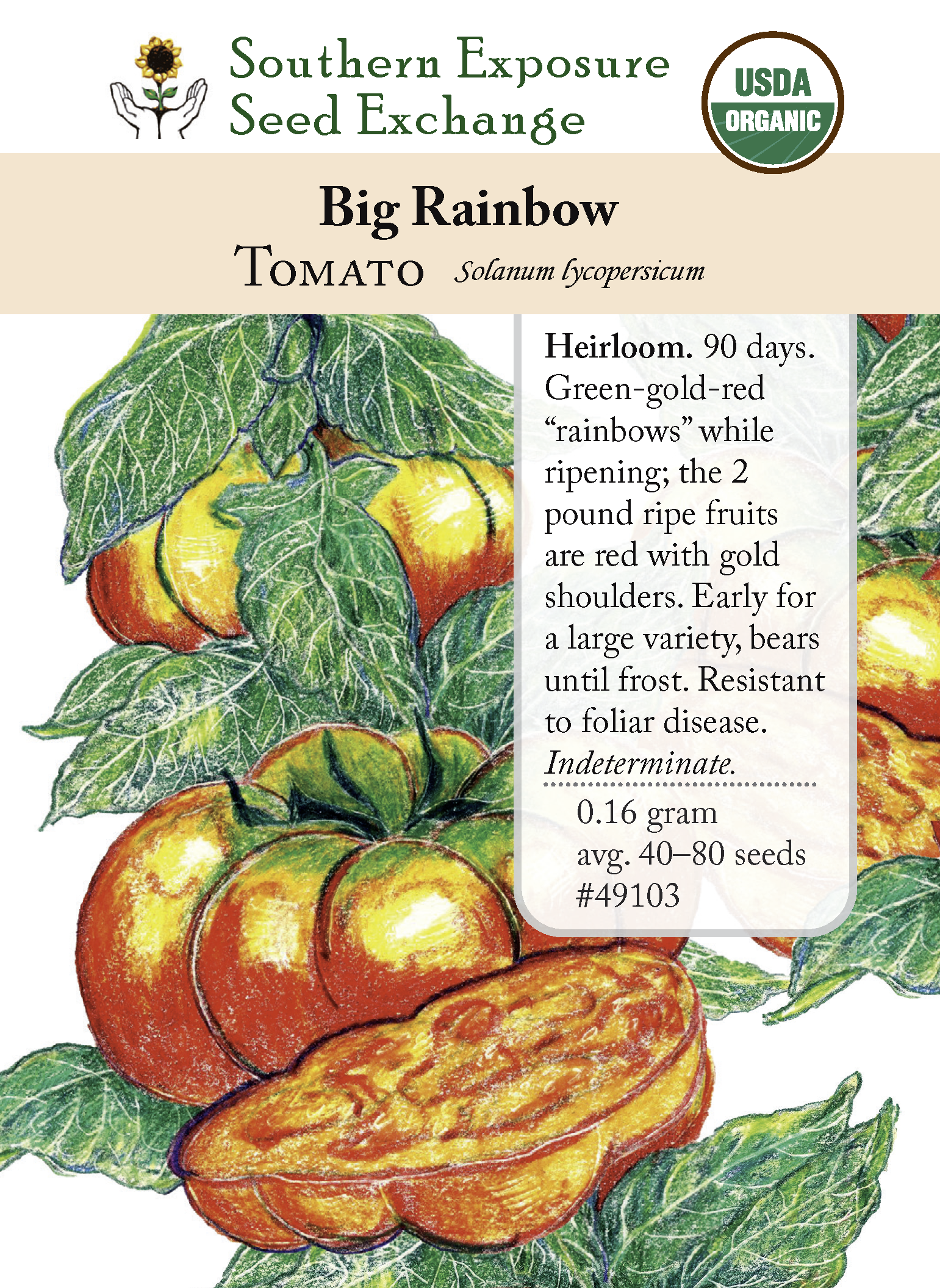 Big Rainbow Heirloom Tomato Seeds - Organic