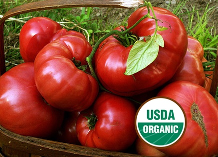Tomatoes