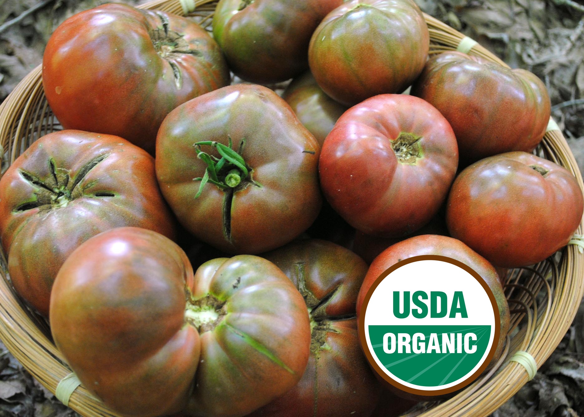 Tomatoes