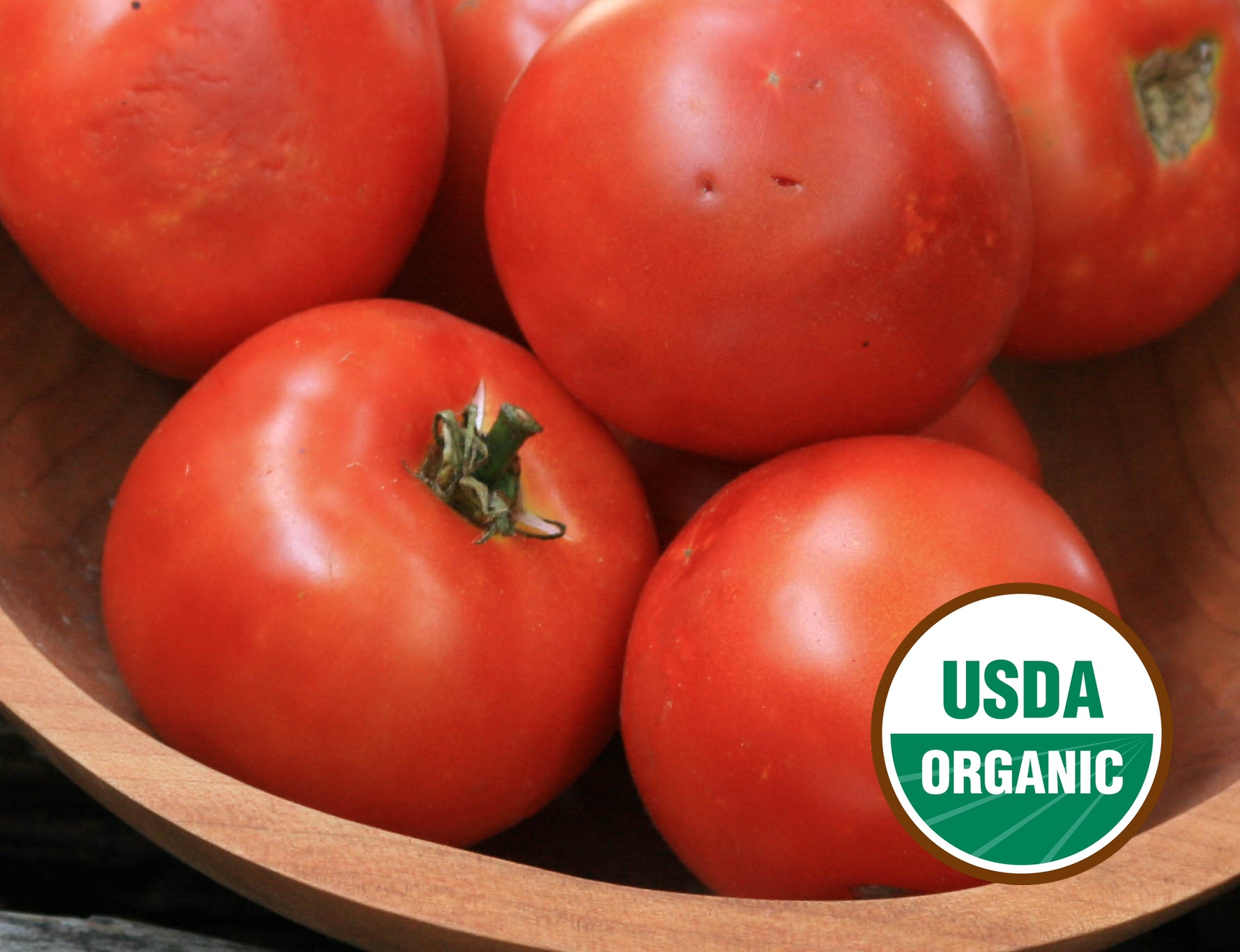 Heinz 1350 VF Heirloom Processing Tomato Seeds - Organic