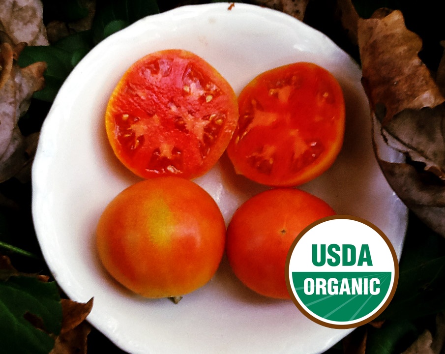 Tomatoes