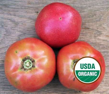 Ozark Pink VF Tomato Seeds - Organic