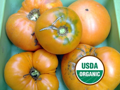 Yellow, Orange & White Tomatoes