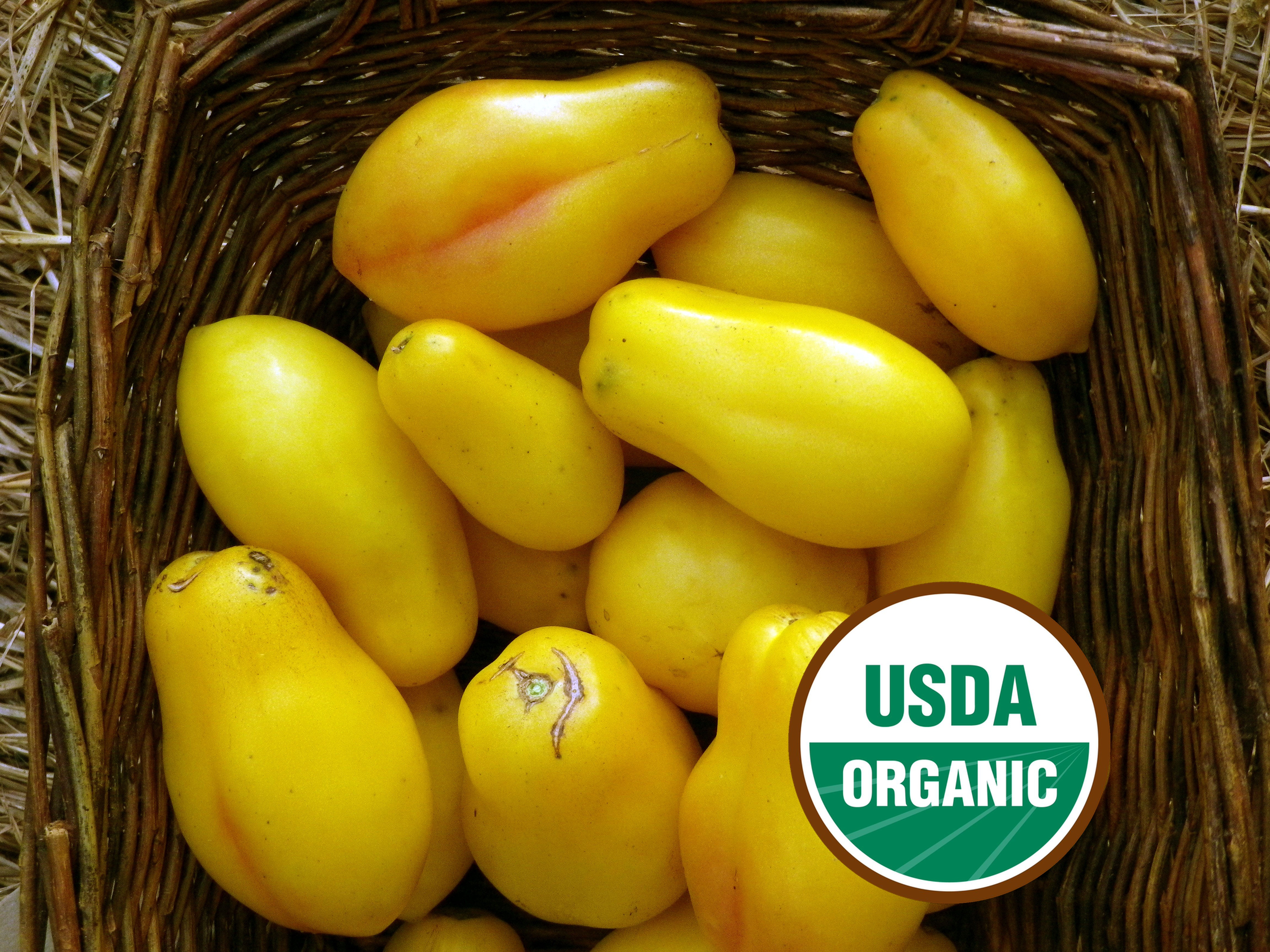 Yellow Bell Heirloom Paste Tomato Seeds - Organic