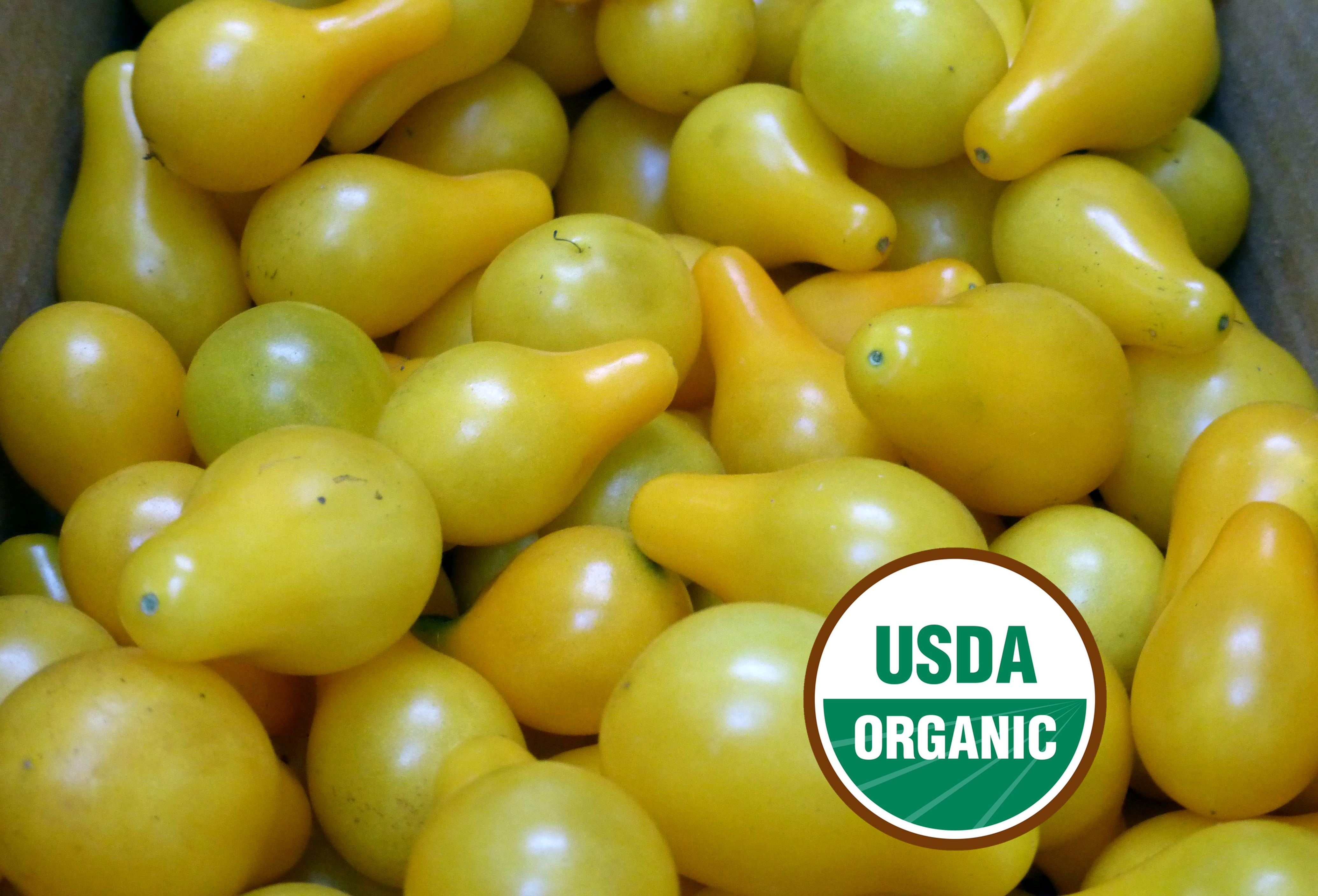 Yellow, Orange & White Tomatoes