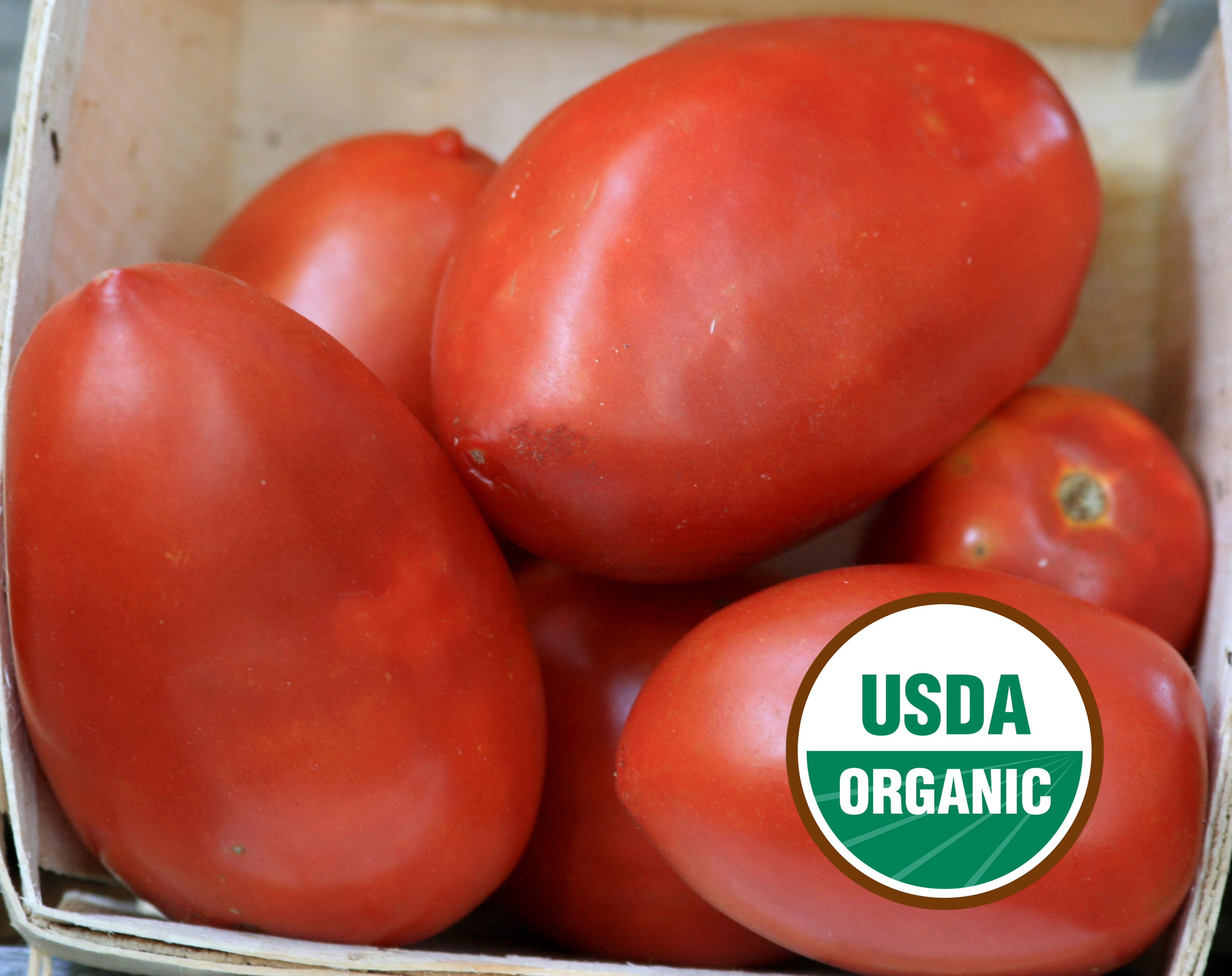 Tomatoes