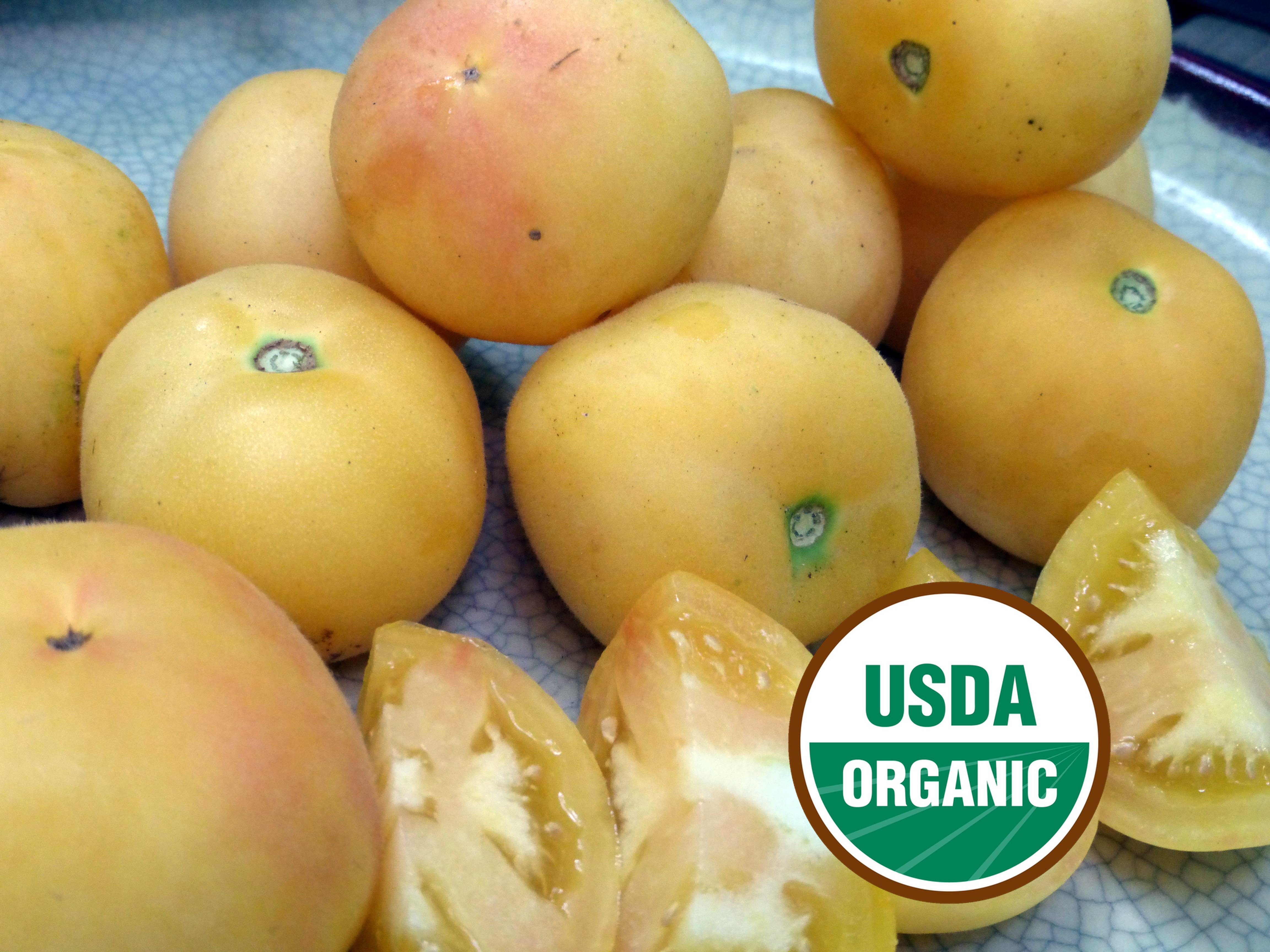 Yellow, Orange & White Tomatoes